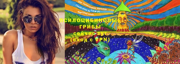 MDMA Михайловск