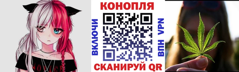 Канабис OG Kush  Ивангород 